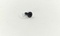 Asus SCREW M2*6L(4.4,0.75) (K) #1